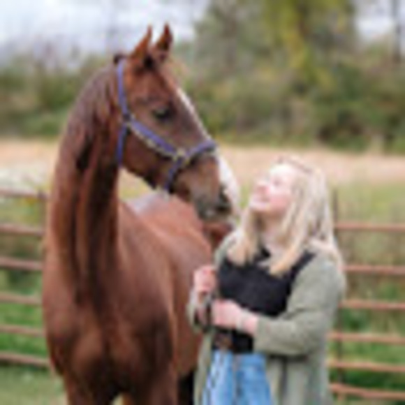 perfectpony2013